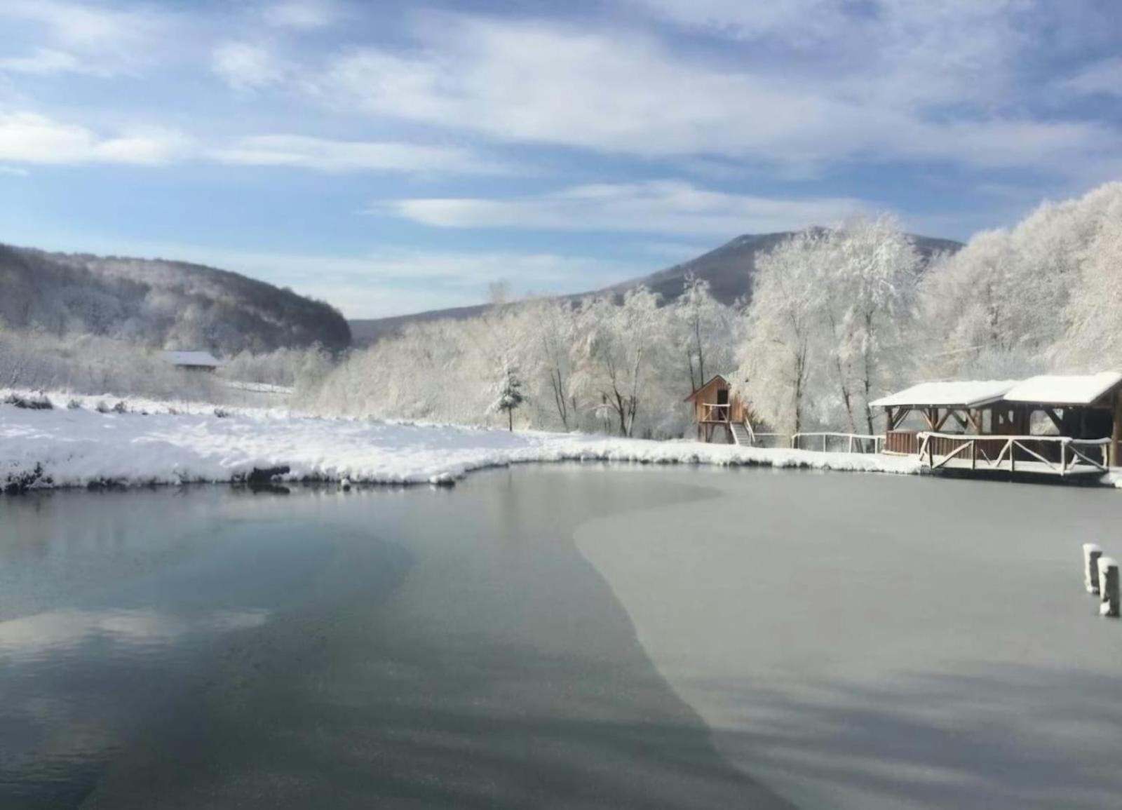 Pensiunea Cerbul - Valea Dobarlaului Exterior photo